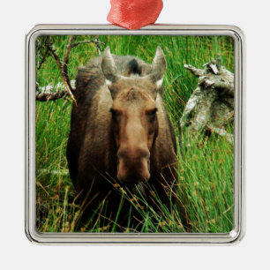 Canadian Moose Metal Tree Decoration
