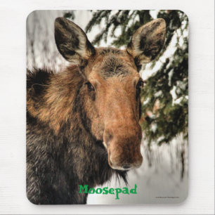 Canadian Moose Portrait Funny Wildlife Mousemat
