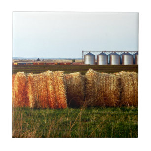 Canadian Prairies Tile