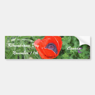 Canadian Remembrance Day November+11th Poppy Bumper Sticker