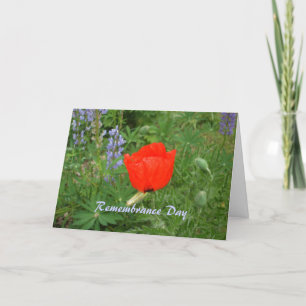 Canadian Remembrance Day- November+11th Poppy Card