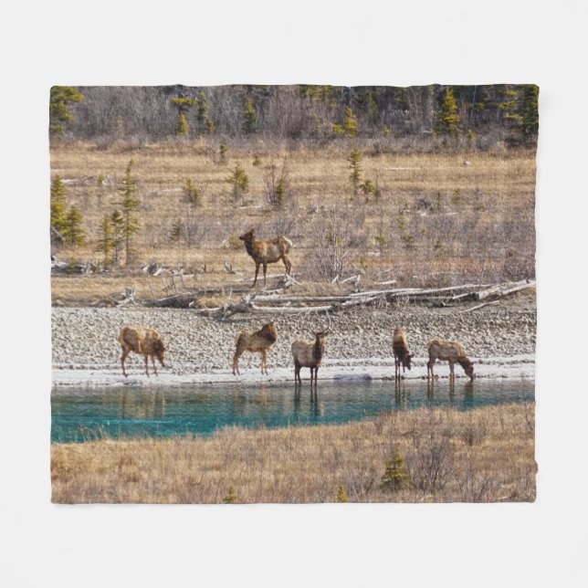 Canadian Rockies Wapiti (Elk)  Fleece Blanket (Front (Horizontal))