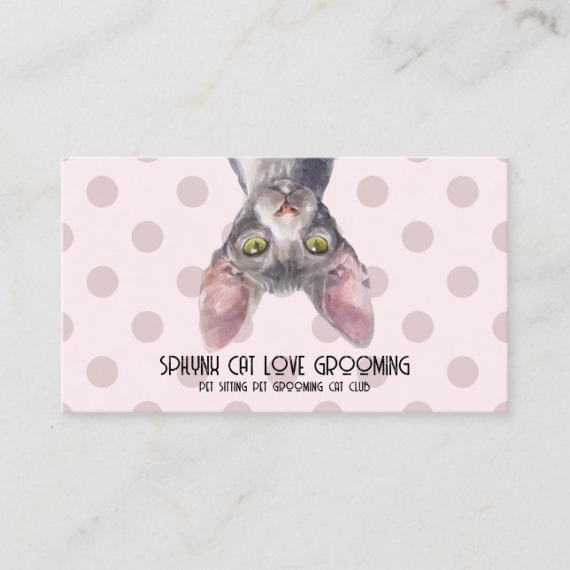 Canadian Sphynx Cat Pink Dots Business Card (Front)
