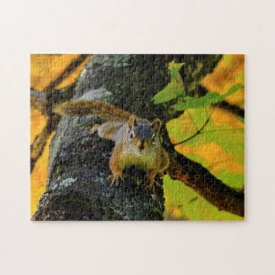 Canadian Squirrels. Jigsaw Puzzle