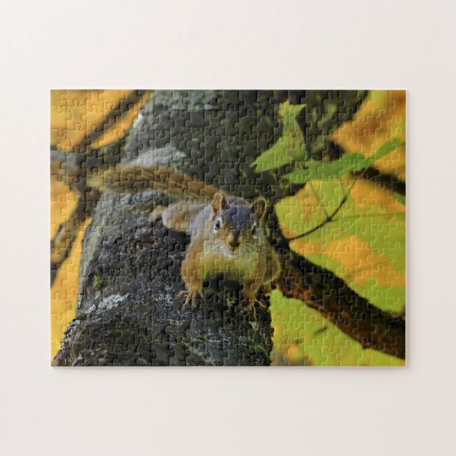 Canadian Squirrels. Jigsaw Puzzle (Horizontal)