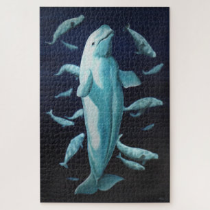 Canadian Whale Art Puzzles - Beluga Whales