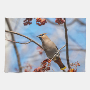 Canadian Wildlife: Bohemian Waxwing Photography Tea Towel