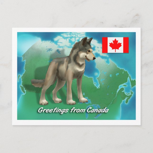 Canadian Wolf Postcard (Front)
