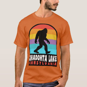 Canadohta Lake Pennsylvania Retro Sunset T-Shirt