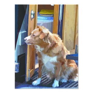 CANAL BOATS PHOTO PRINT