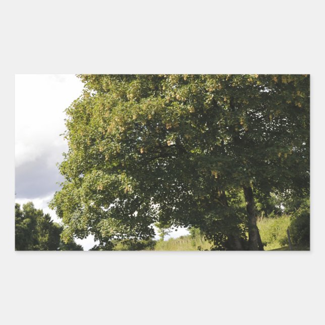 Canal Boats Rectangular Sticker (Front)