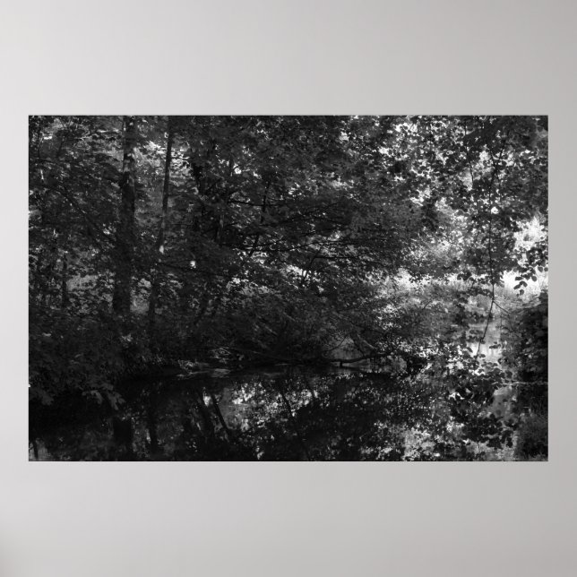 Canal, Bute Park, Cardiff Poster (Front)