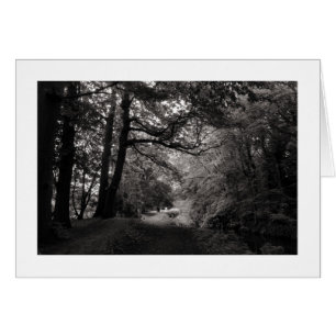 Canal, Bute Park, Cardiff, Wales (Bordered)