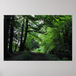 Canal, Bute Park, Cardiff, Wales Poster