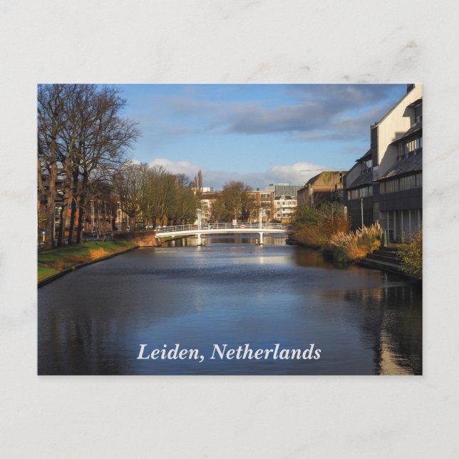Canal in Leiden, Netherlands, Postcard (Front)