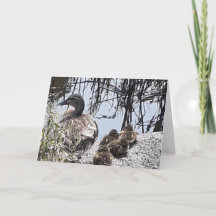 Canal themed card. Blank for your own message.