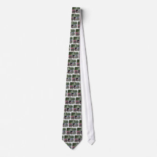 CANALS TIE