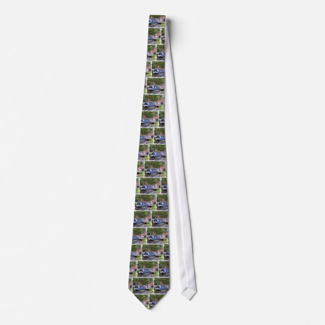 CANALS TIE (Front)