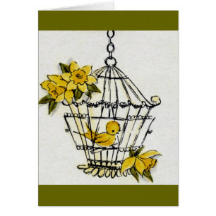 Canary and Dafodills