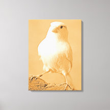 Canary Bird Canvas