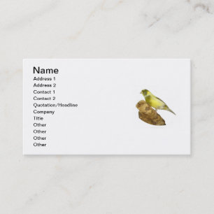 Canary Breeder's Business Card