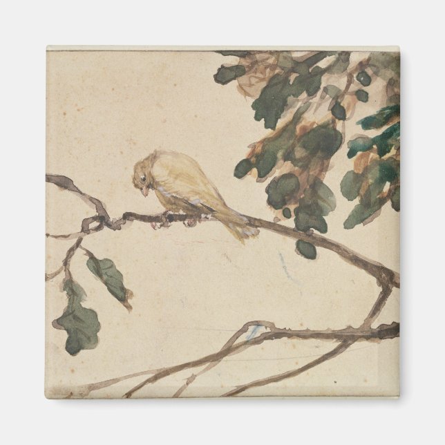 Canary on an Oak Tree Branch Magnet (Front)