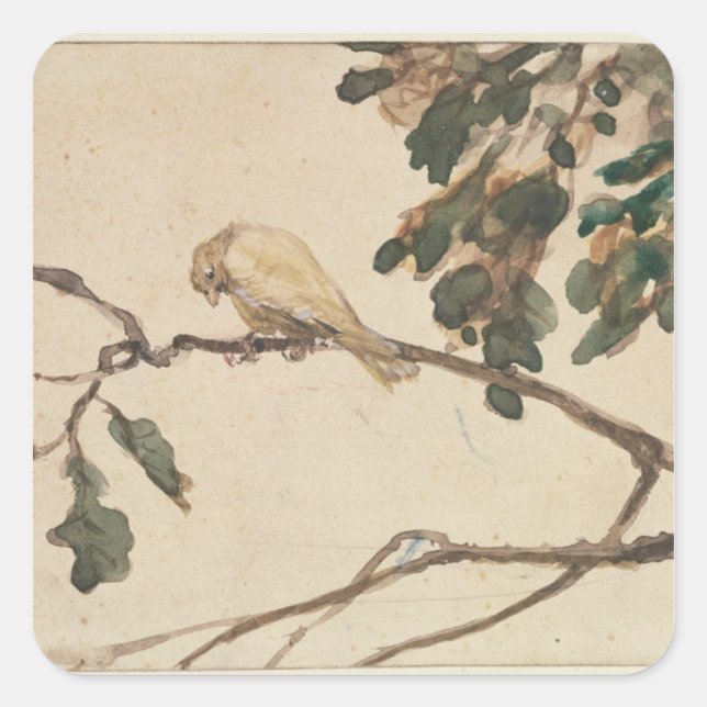 Canary on an Oak Tree Branch Square Sticker (Front)