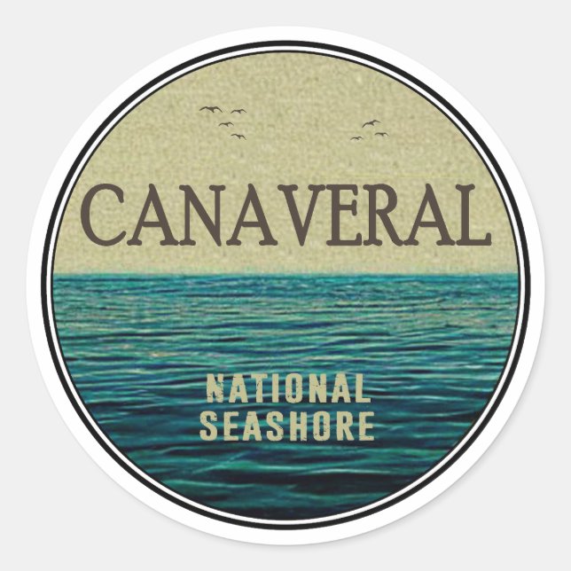 Canaveral National Seashore Florida Ocean Birds Classic Round Sticker (Front)