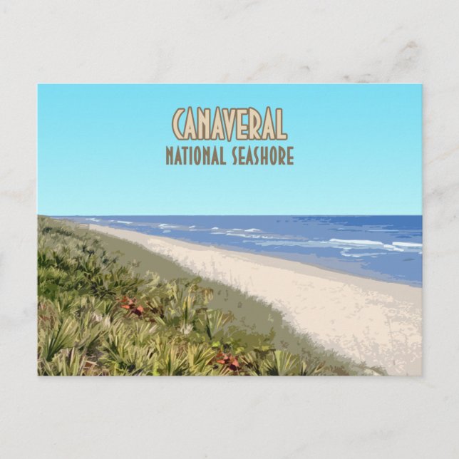 Canaveral National Seashore Florida Postcard (Front)
