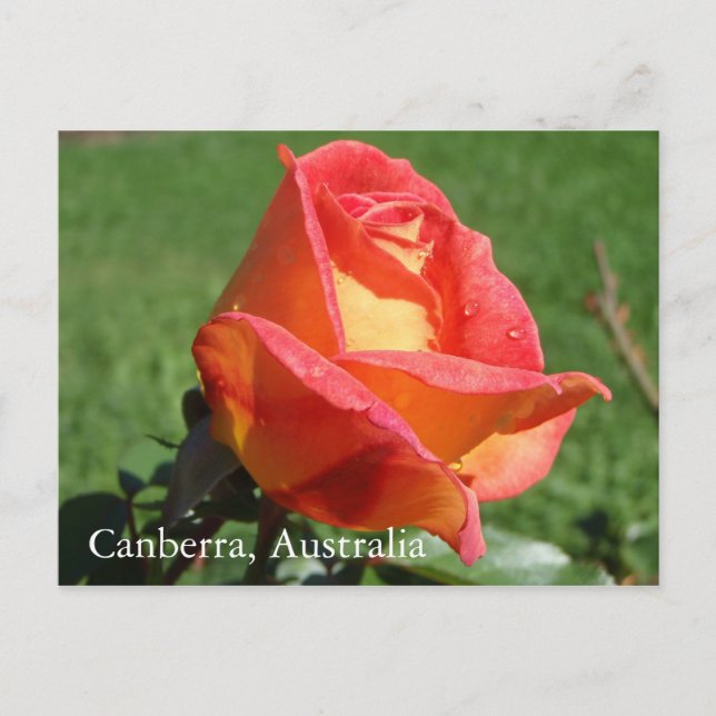 Canberra, Australia postcard (Front)