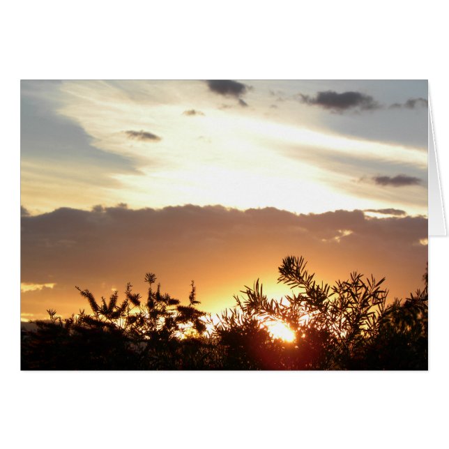 Canberra Sunset (Front Horizontal)