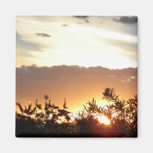 Canberra Sunset Magnet