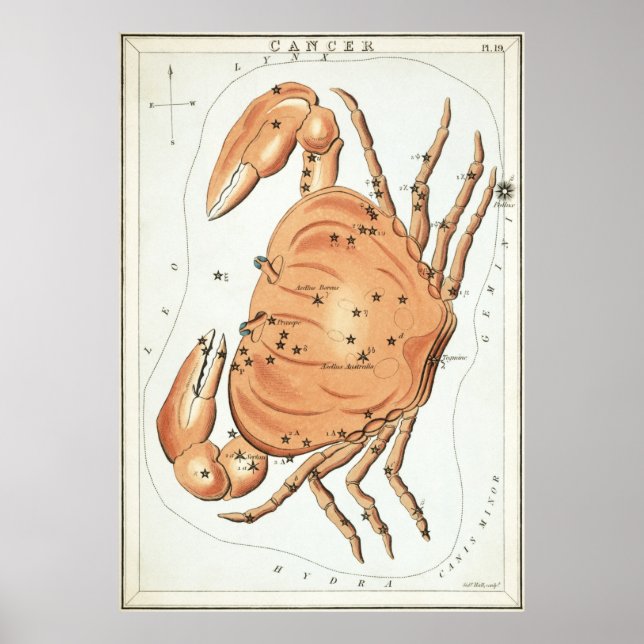 Cancer Astrological Drawing Poster (Front)