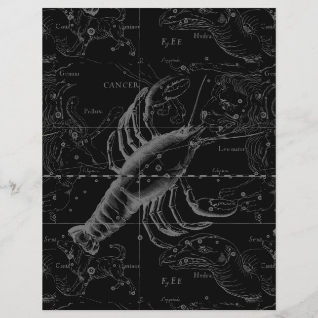 Cancer Constellation Hevelius 1690 Decor Flyer (Front)
