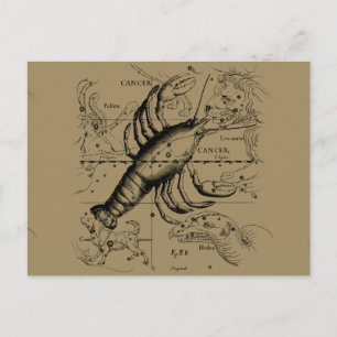 Cancer Constellation Hevelius 1690 Engaving Postcard