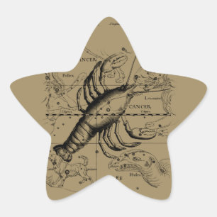 Cancer Constellation Hevelius 1690 Engaving Star Sticker