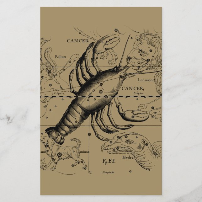 Cancer Constellation Hevelius 1690 June 21-July 22 Flyer (Front)