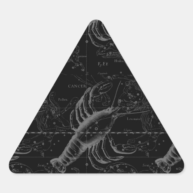 Cancer Constellation Hevelius 1690 on Black Triangle Sticker (Front)