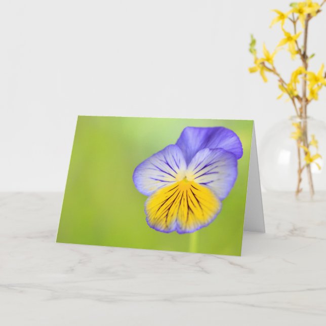 Cancer Encouragement Pansy Card (Yellow Flower)