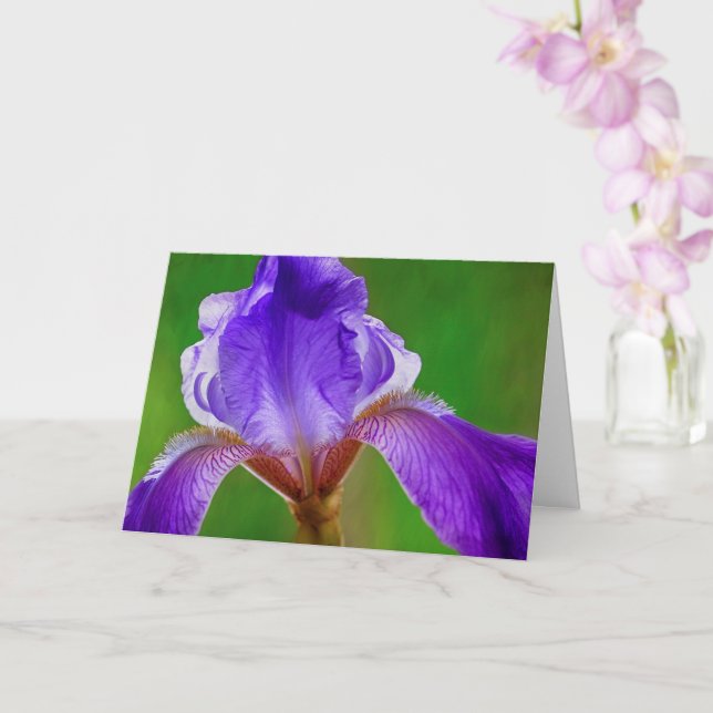 Cancer Hope And Support Iris Card (Orchid)
