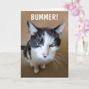 Cancer is a Bummer  Card