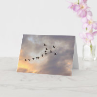Cancer, Serious Illness Birds in Flight