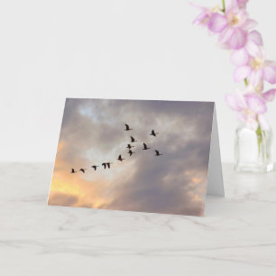 Cancer, Serious Illness Birds in Flight  Card