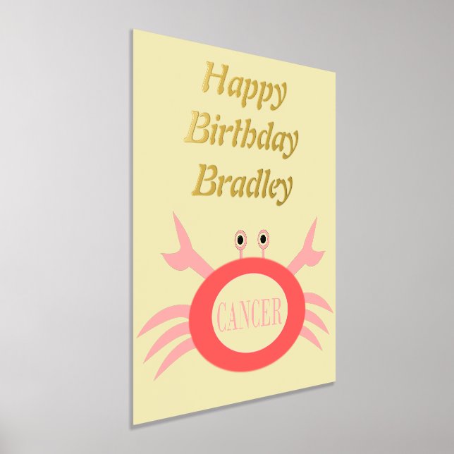 Cancer Star Sign Crab Birthday Party (Laydown)