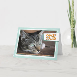 Cancer Sucks, Sad Cat Card