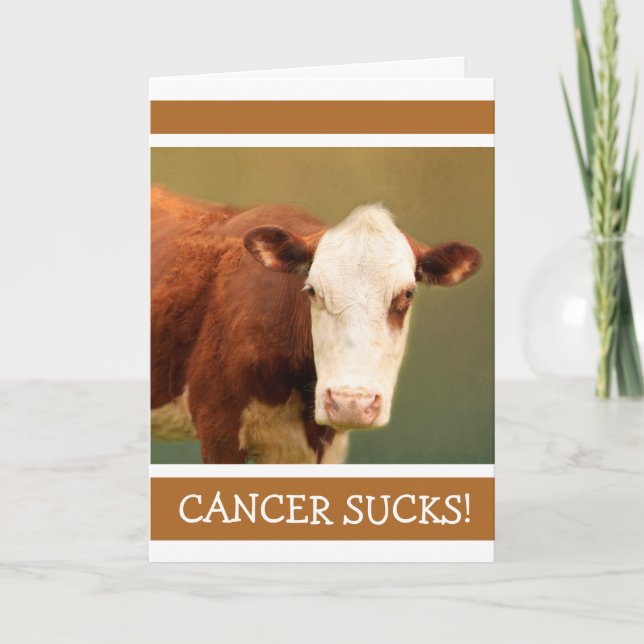 Cancer Support Funny Cow  Card (Front)