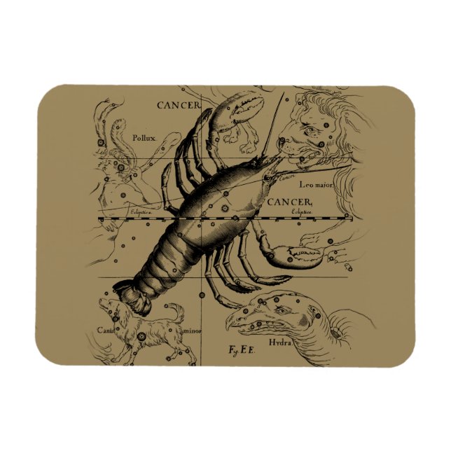 Cancer Zodiac Constellation by Hevelius 1690 Magnet (Horizontal)