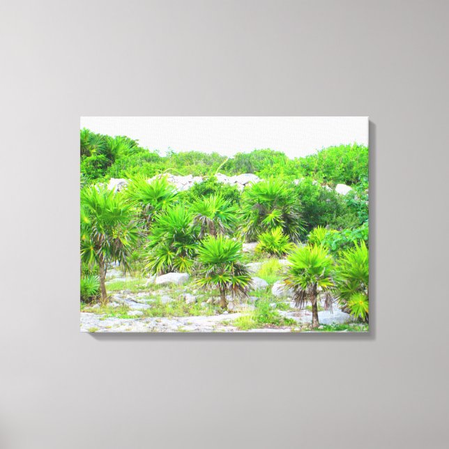 CANCUN, MEXICO #14 CANVAS PRINT (Front)