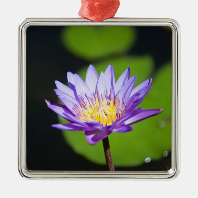 Cancun, Mexico Metal Tree Decoration (Front)