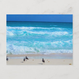 CANCUN OCEAN #2 POSTCARD